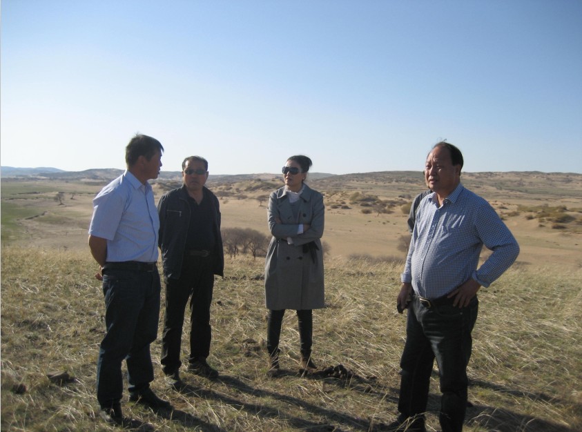 發(fā)揮資源優(yōu)勢，提高產(chǎn)業(yè)鏈競爭力——協(xié)會(huì)為企業(yè)間的合作搭建平臺(tái)